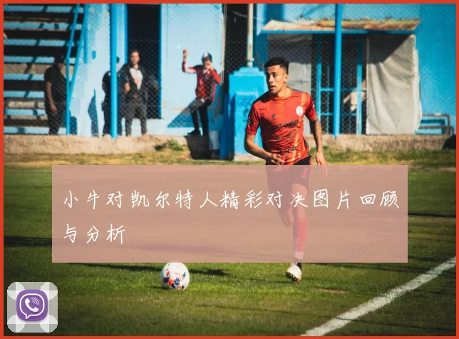 小牛对凯尔特人精彩对决图片回顾与分析