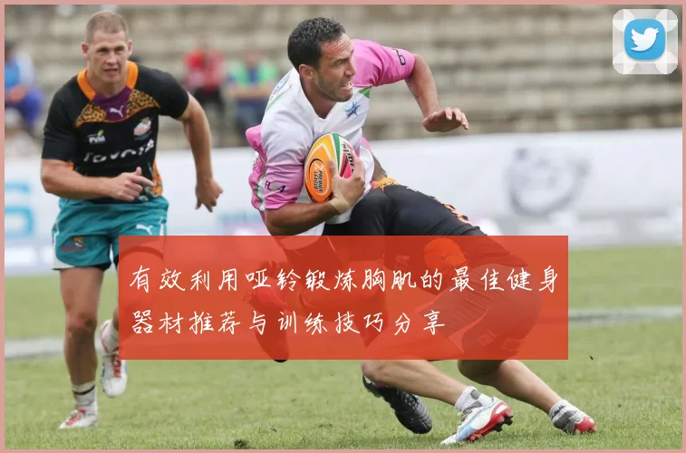 有效利用哑铃锻炼胸肌的最佳健身器材推荐与训练技巧分享