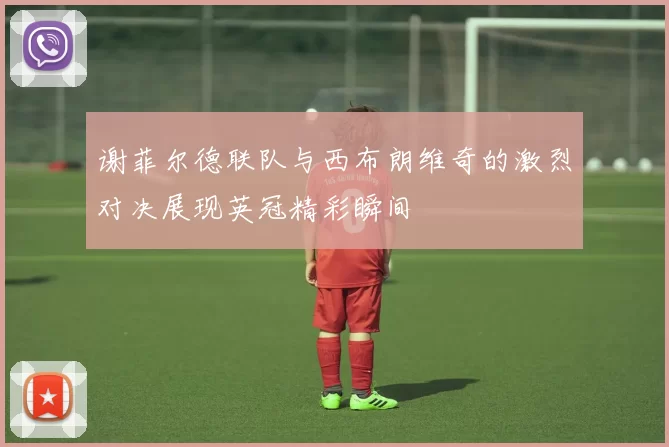 谢菲尔德联队与西布朗维奇的激烈对决展现英冠精彩瞬间