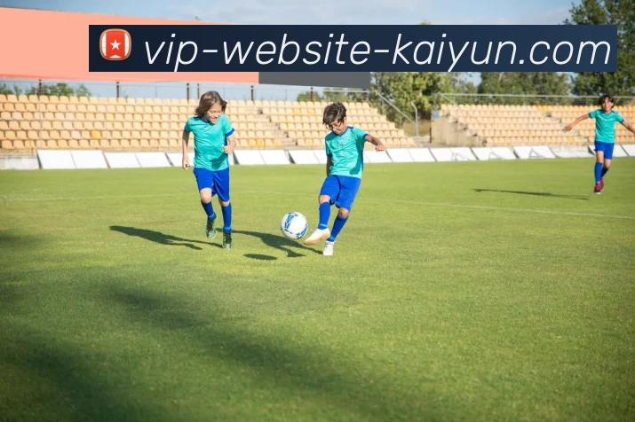 开云APP 高清赛事图