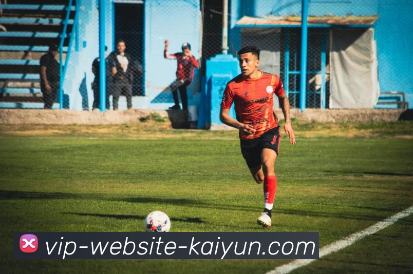 数据防护可视化